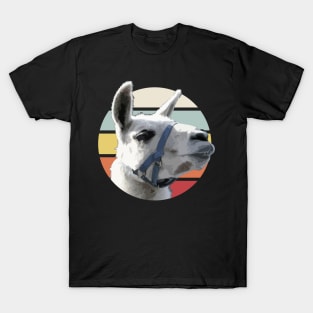 Vintage llama T-Shirt